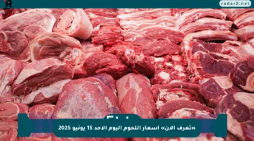 «تعرف الآن» أسعار اللحوم اليوم الأحد 15 يونيو 2025